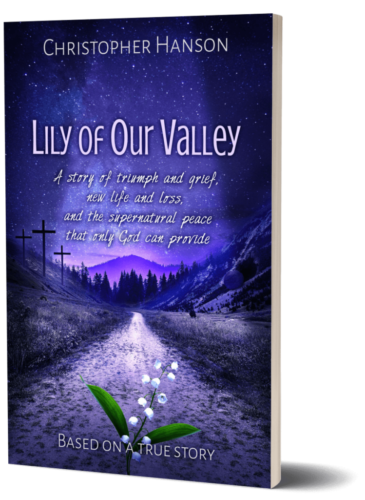 BookBrushImage3D-Paperback-Book-Small-Spine Lily of Our Valley book cover